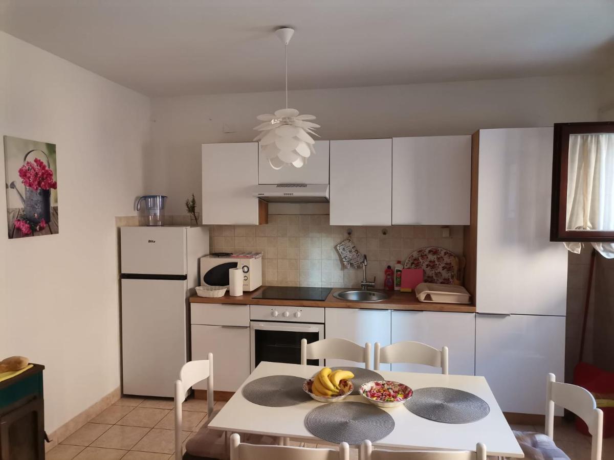 Delfin Apartments Zadar Luaran gambar